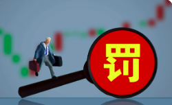 罰10萬元！企業(yè)無密閉措施和安裝凈化裝置超標(biāo)排放廢氣