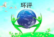 環(huán)境影響評(píng)價(jià)文件涉及弄虛作假等行為的，需要承擔(dān)哪些后果？